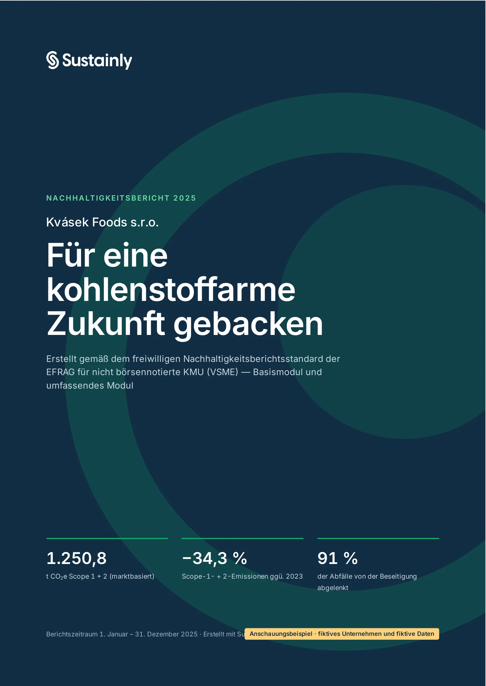 Titelseite eines VSME-ESG-Beispielberichts