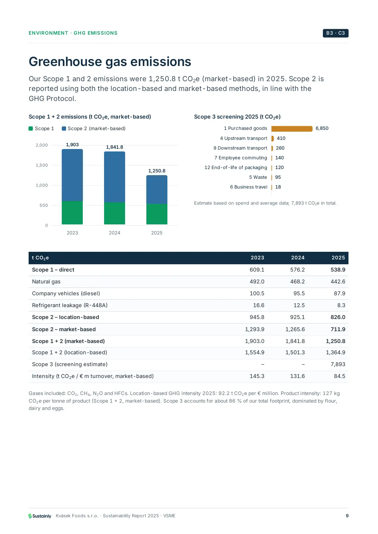 Sample VSME report page showing Scope 1 and 2 greenhouse gas emissions