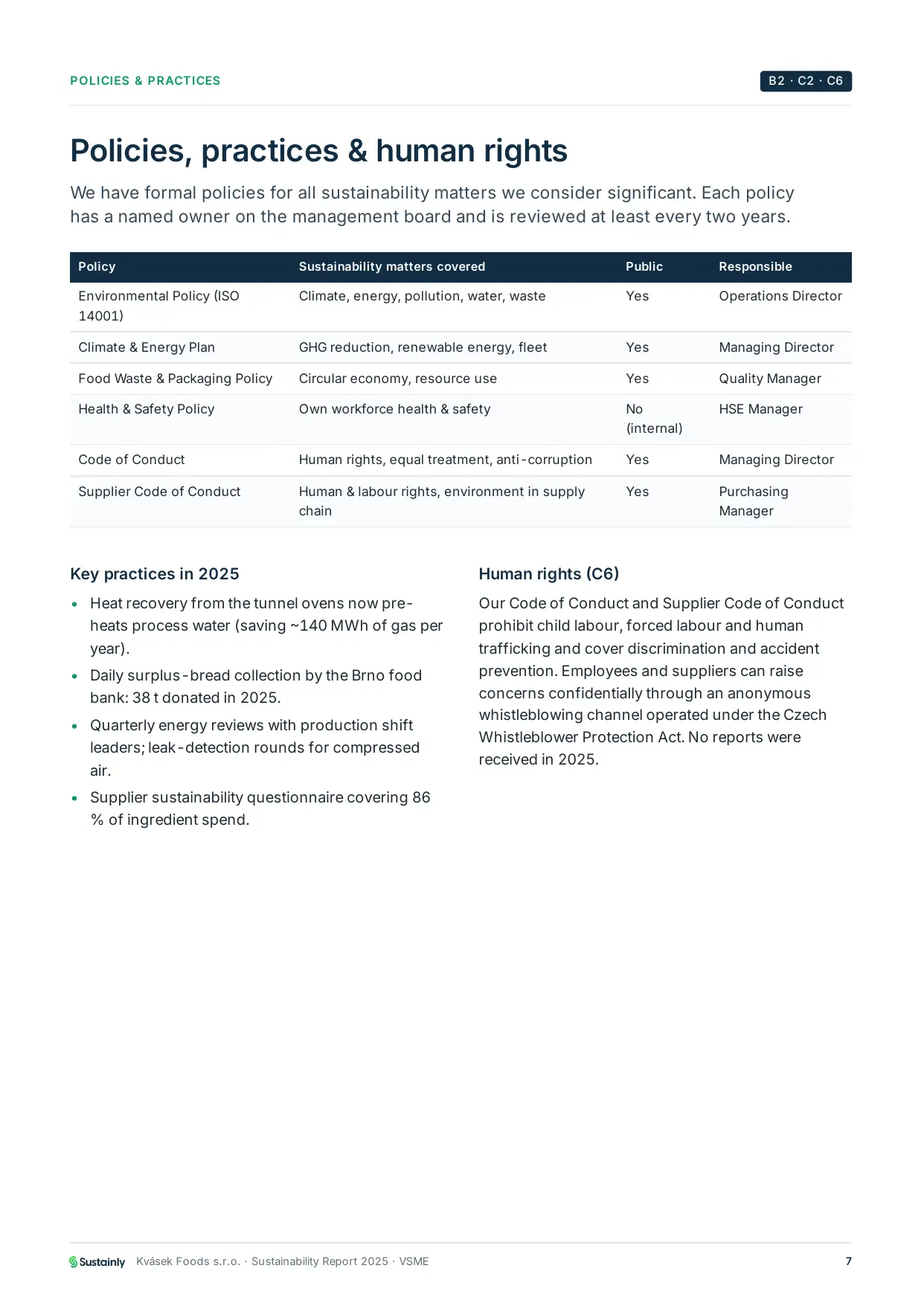 Sample VSME report page listing sustainability policies and practices